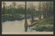 View on Lumber River, Lumberton, N.C.