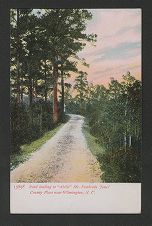 Road leading to "Airlie" Mr. Pembroke Jones' county [i.e., country?] place near Wilmington, N.C.