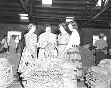 Women in tobacco market