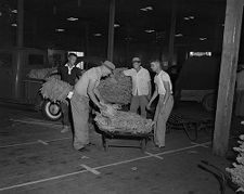 Men in tobacco market