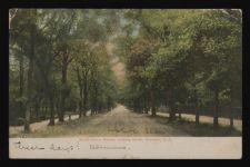 North Union Street, looking North, Concord, N.C.