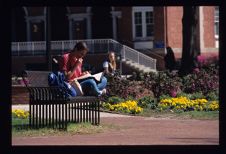 Student studying