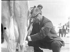 Mayor with cow 