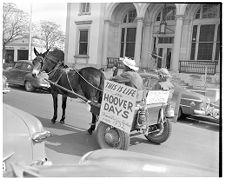 Hoover cart at election day demonstration