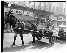 Hoover cart at election day demonstration