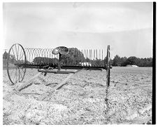 Horse-drawn rake