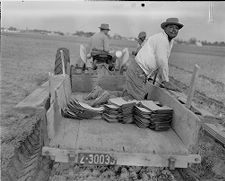 Farming cart