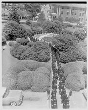 Aerial view of commencement 