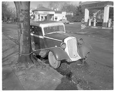 Old car tied to tree