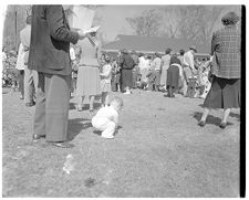 Easter egg hunt 