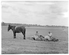 Mule plowing