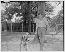 Prison camp bloodhounds 