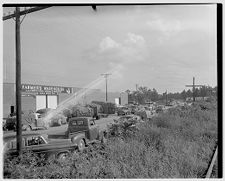 Trucks at Farmer's Warehouse 