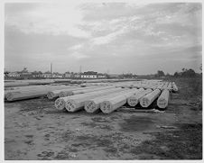 Large poles lying on ground 