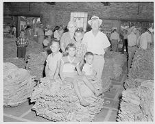 Children in tobacco market 