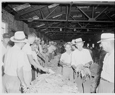 Men at tobacco market 