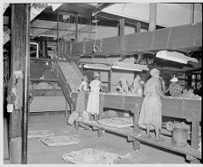 Women workers at Imperial Tobacco