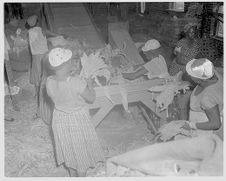 Women bundling tobacco