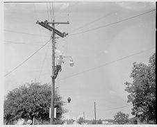 Wiring telephone pole