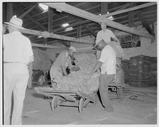 Loading tobacco