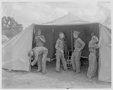 Boy Scouts putting up tent