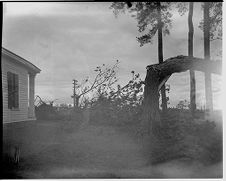 Hurricane damage 