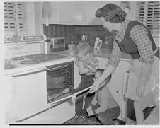 Turkey in oven 