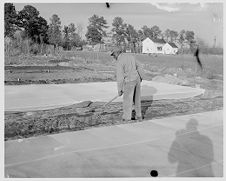 Shoveling tobacco beds