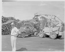 Log mill in Farmville