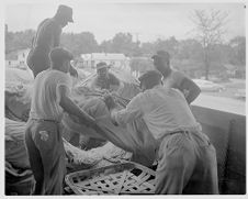 Tobacco unloading