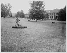 Mowing yard