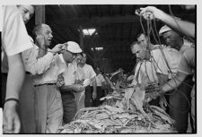 Tobacco Market opens