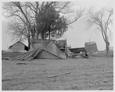 Wind damage 