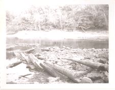 Confederate obstructions, Neuse River, Kinston, N.C.