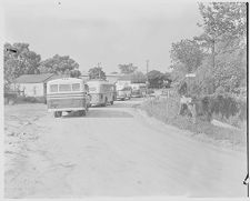 Line of buses