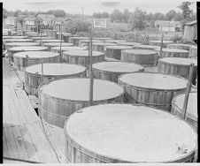 Vats of brine