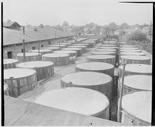 Brine barrels lined up