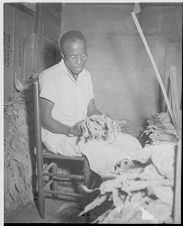 Tobacco sorting