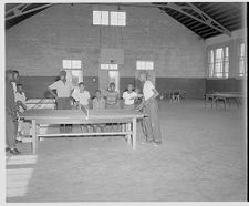 Playing table tennis