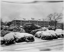 Three inch snowfall 