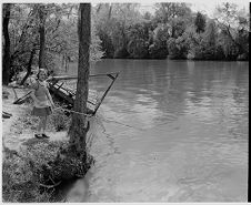 Girl fishing