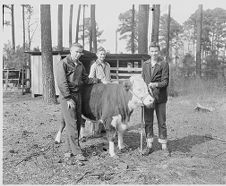 Winterville future farmers