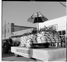 Parade float