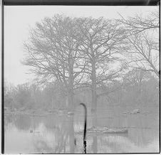 Tar River rising 