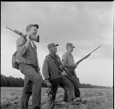 Dove season opens 