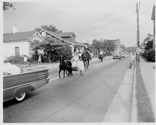 Driving horses