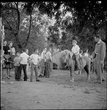 Pony rides