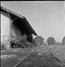 Grass on tracks