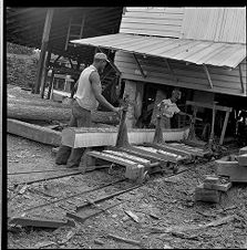 Cleaning logs