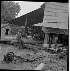 Worker on log